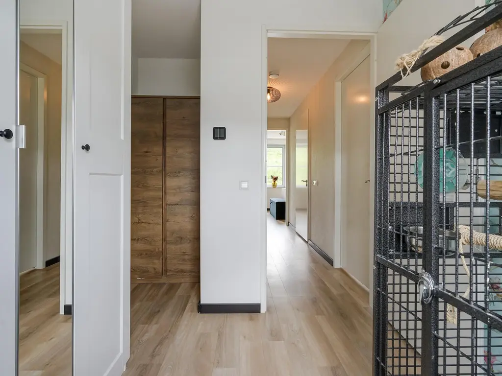 Pluis 16, MAASSLUIS