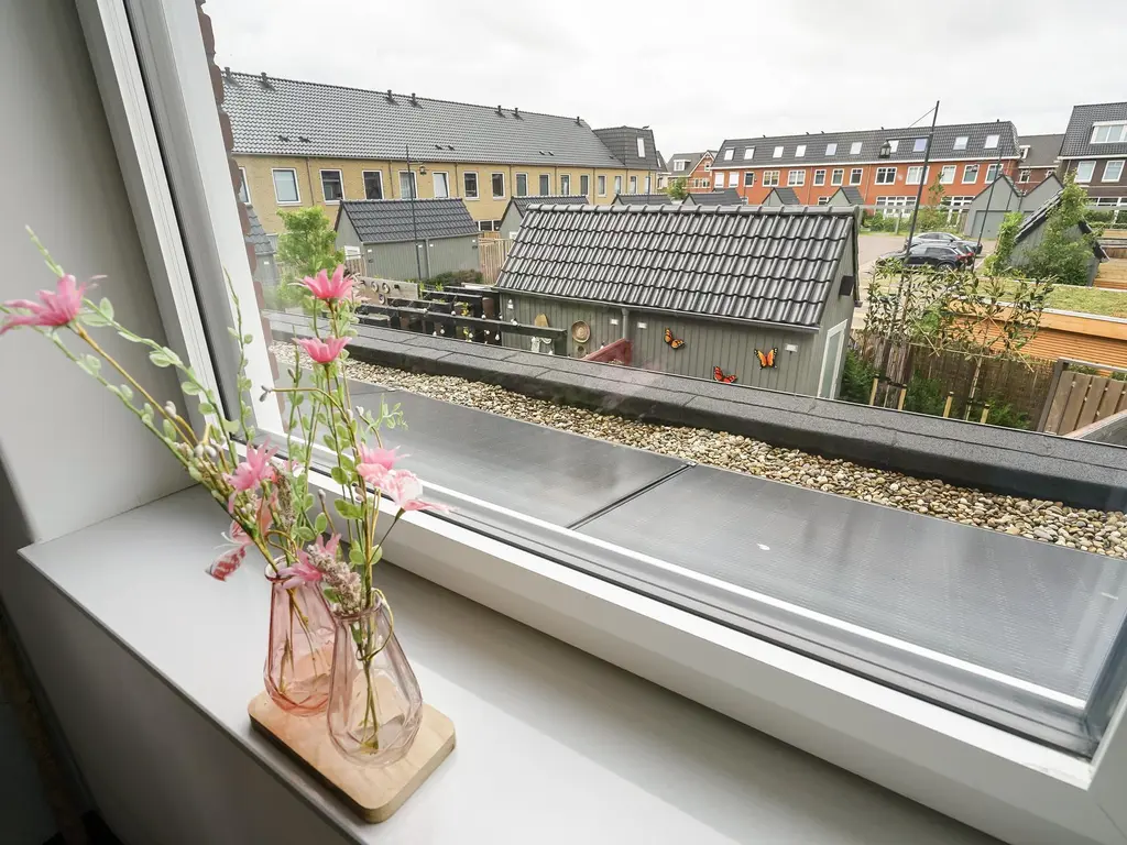 Pluis 16, MAASSLUIS