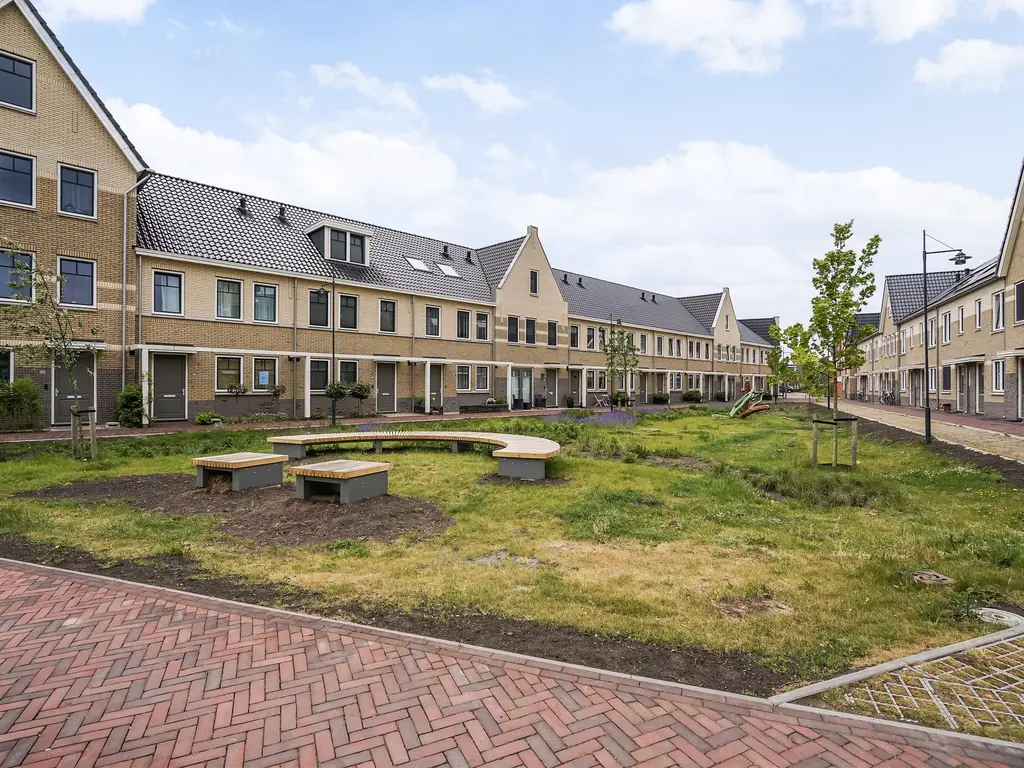 Pluis 16, MAASSLUIS