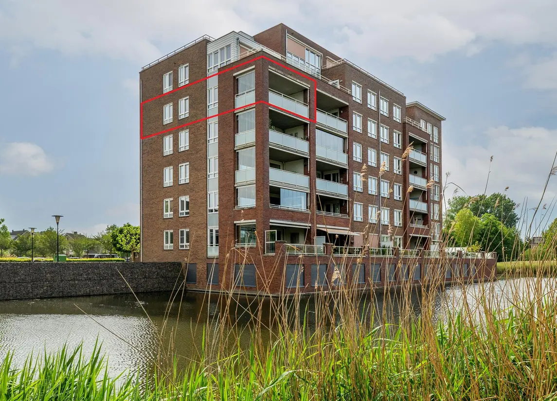 Palissanderhout 88