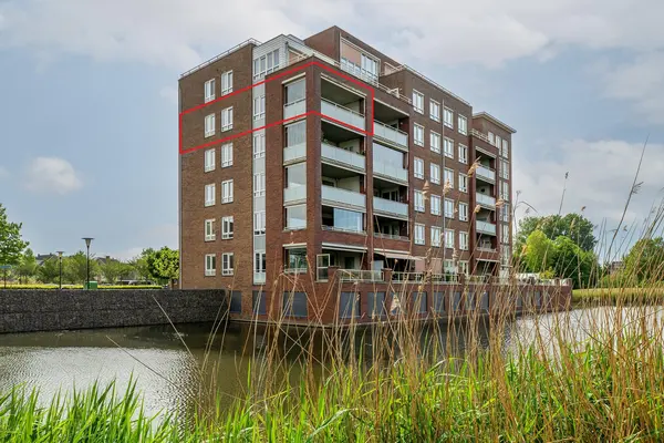 Palissanderhout 88