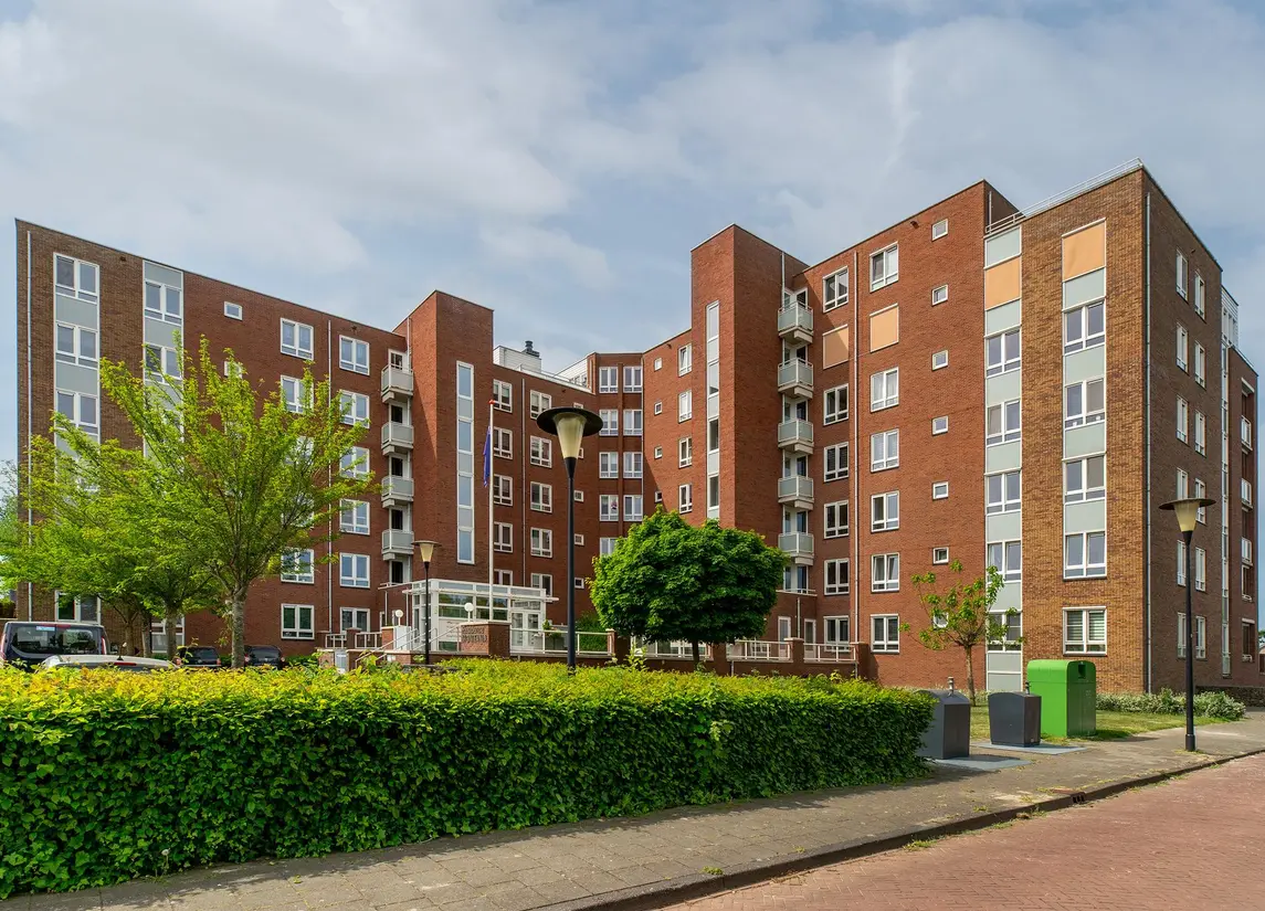 Palissanderhout 88
