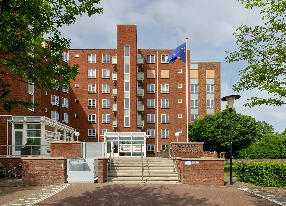 Palissanderhout 88