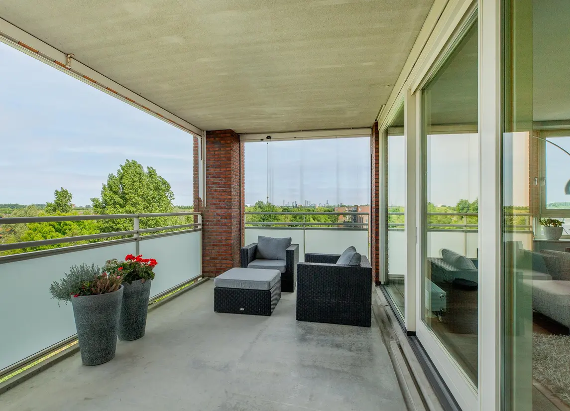 Palissanderhout 88