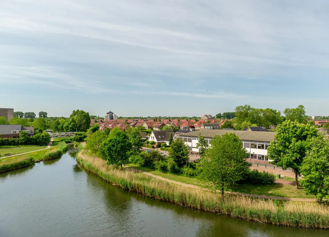 Palissanderhout 88