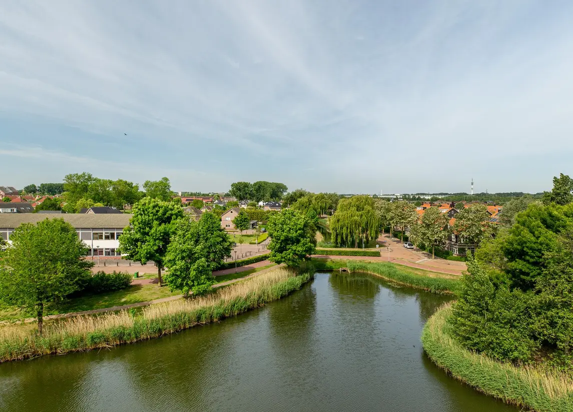 Palissanderhout 88