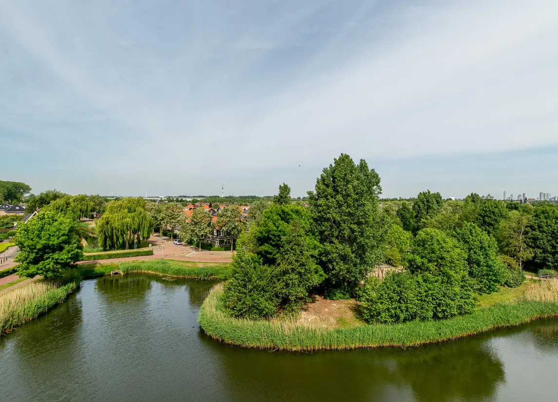 Palissanderhout 88