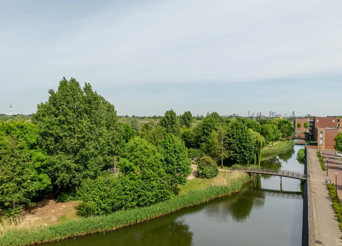 Palissanderhout 88