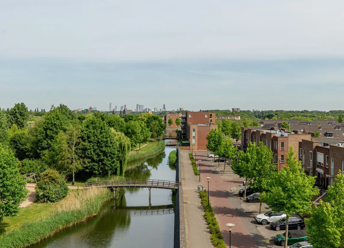 Palissanderhout 88