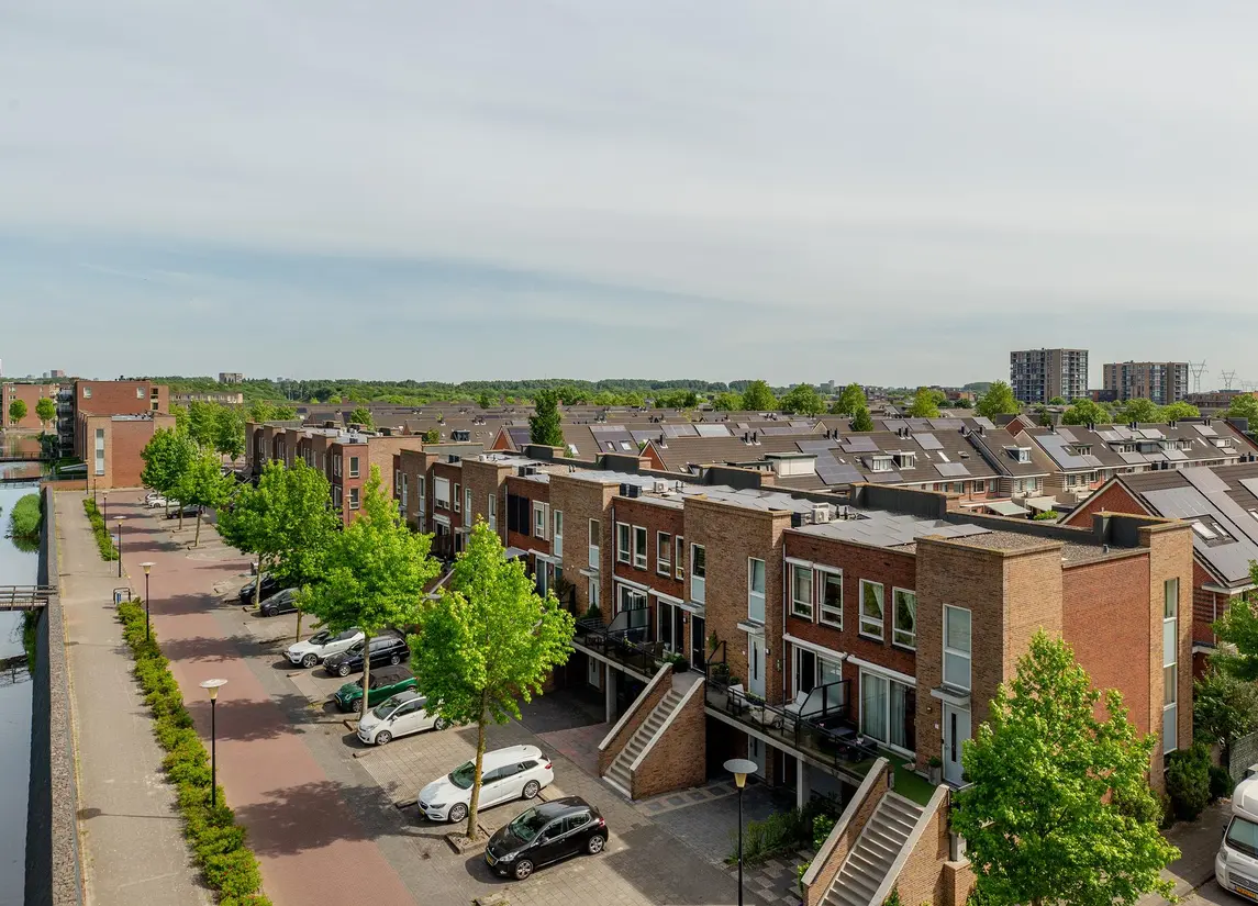 Palissanderhout 88