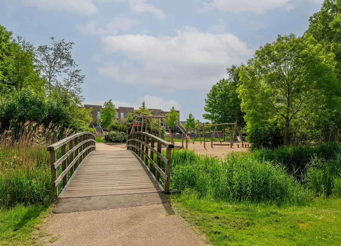 Palissanderhout 88
