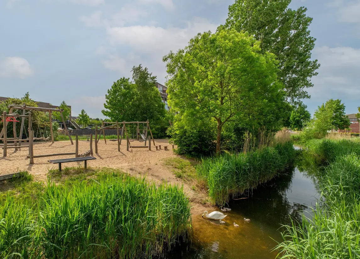 Palissanderhout 88