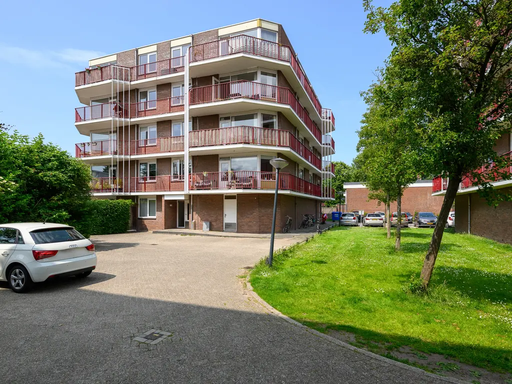Pluimgras 1, Leiden