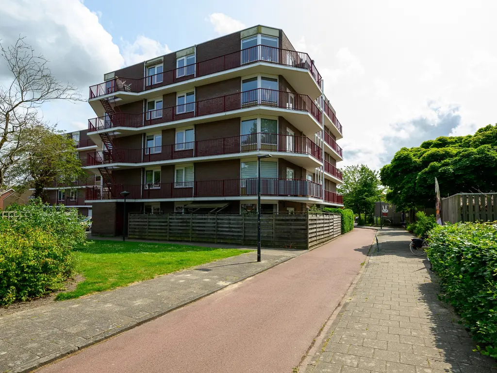 Pluimgras 1, Leiden