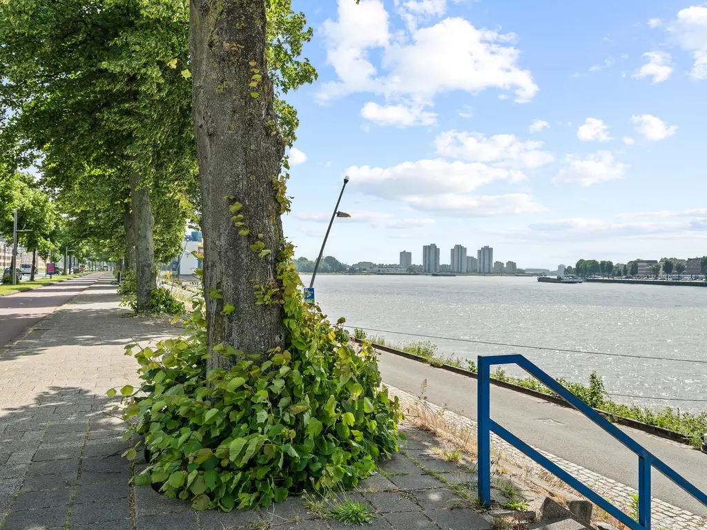 Honingerdijk 41B 02, ROTTERDAM