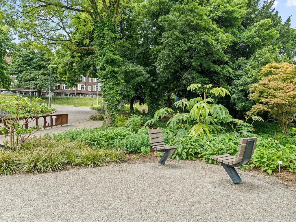 Honingerdijk 41B 02, ROTTERDAM