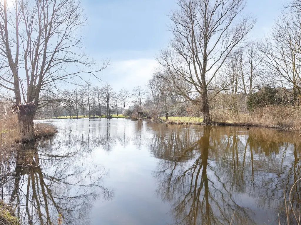 Burggravenlaan 81, Leiden