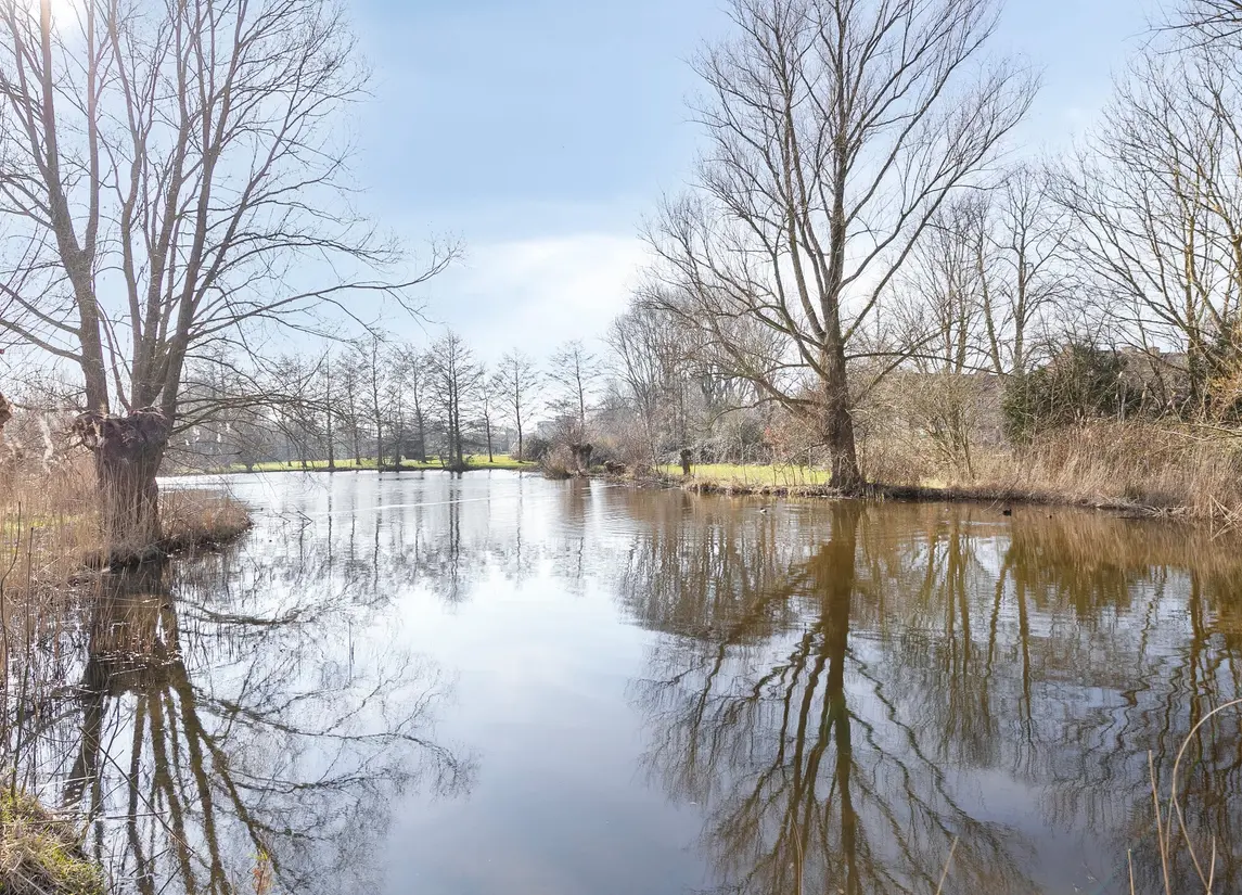 Burggravenlaan 81
