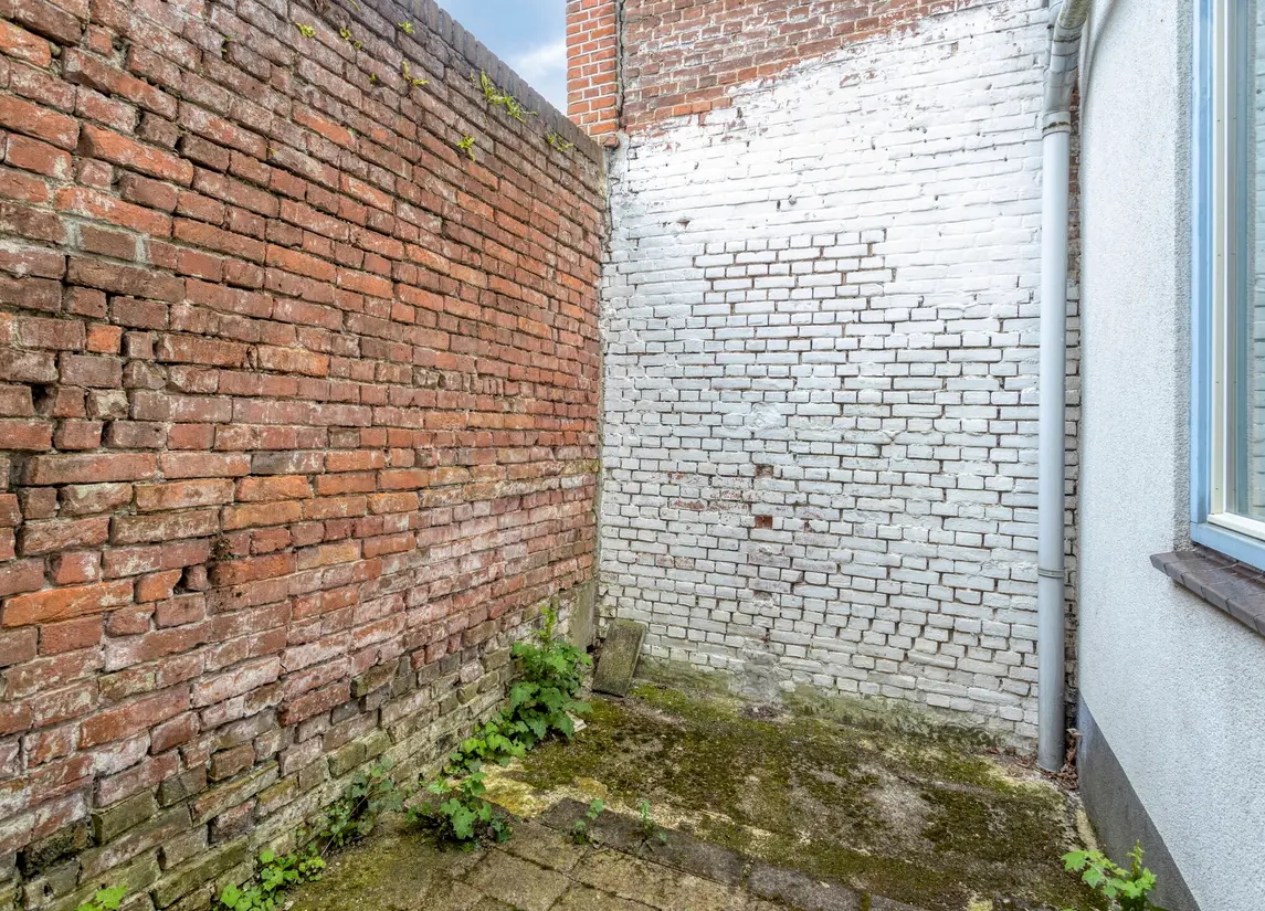 Groenoordstraat 19