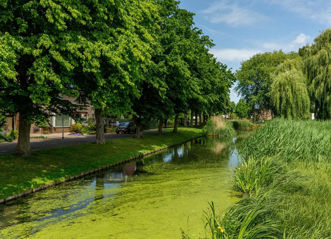 Schaatsbaan 136