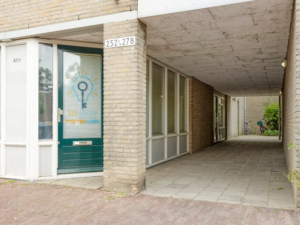 Oude Singel 256, Leiden