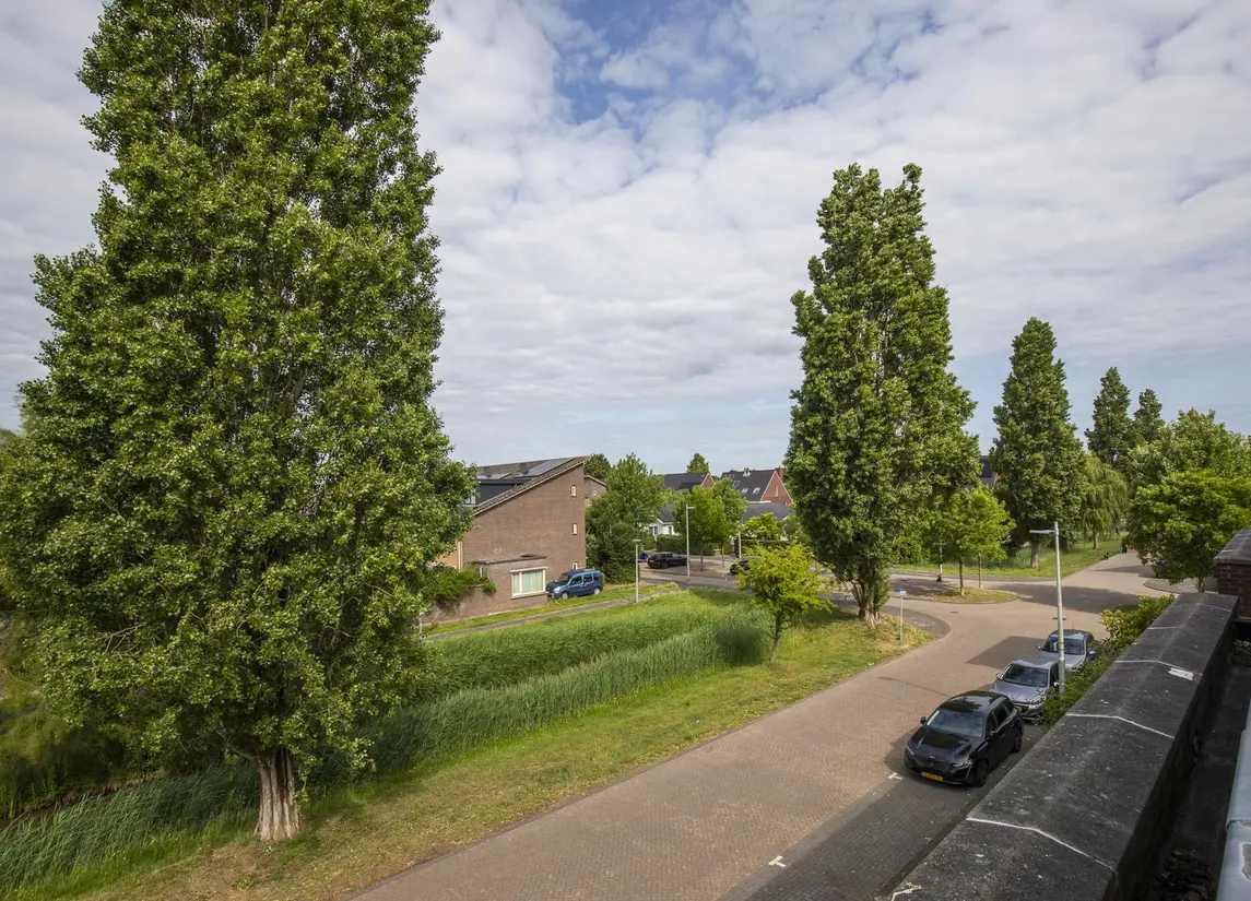 Vlindersingel 161