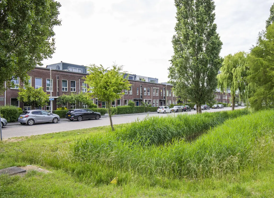 Vlindersingel 161
