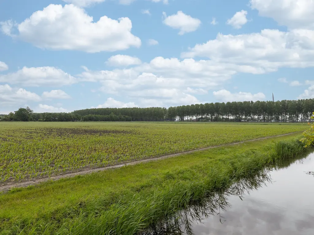 Juttepeer 50, Winkel