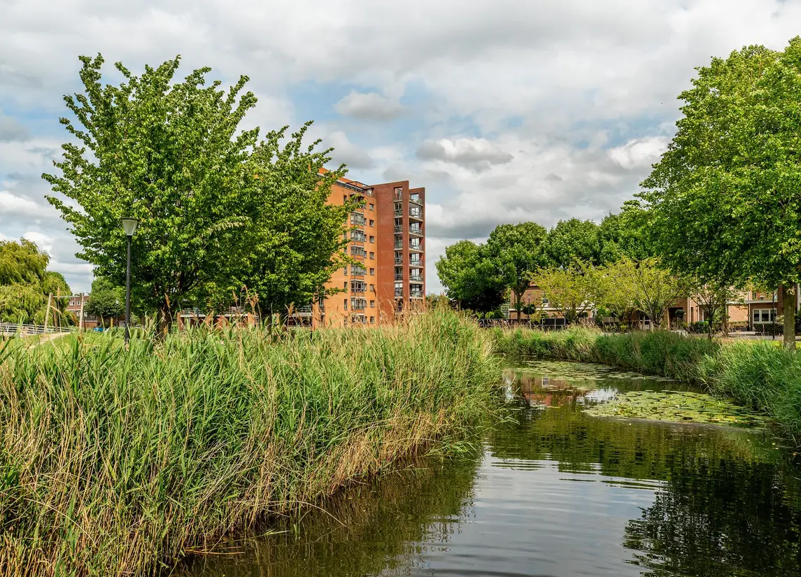 Meerwedesingel 163