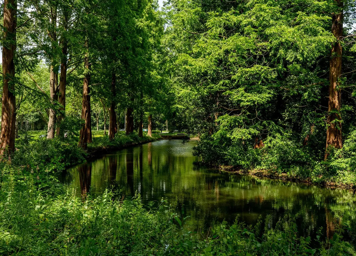 Zandkreek 102