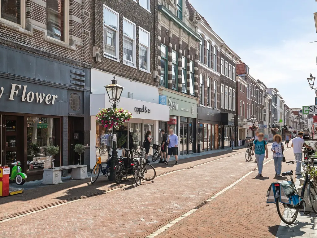 Van Der Werfstraat 51, Leiden