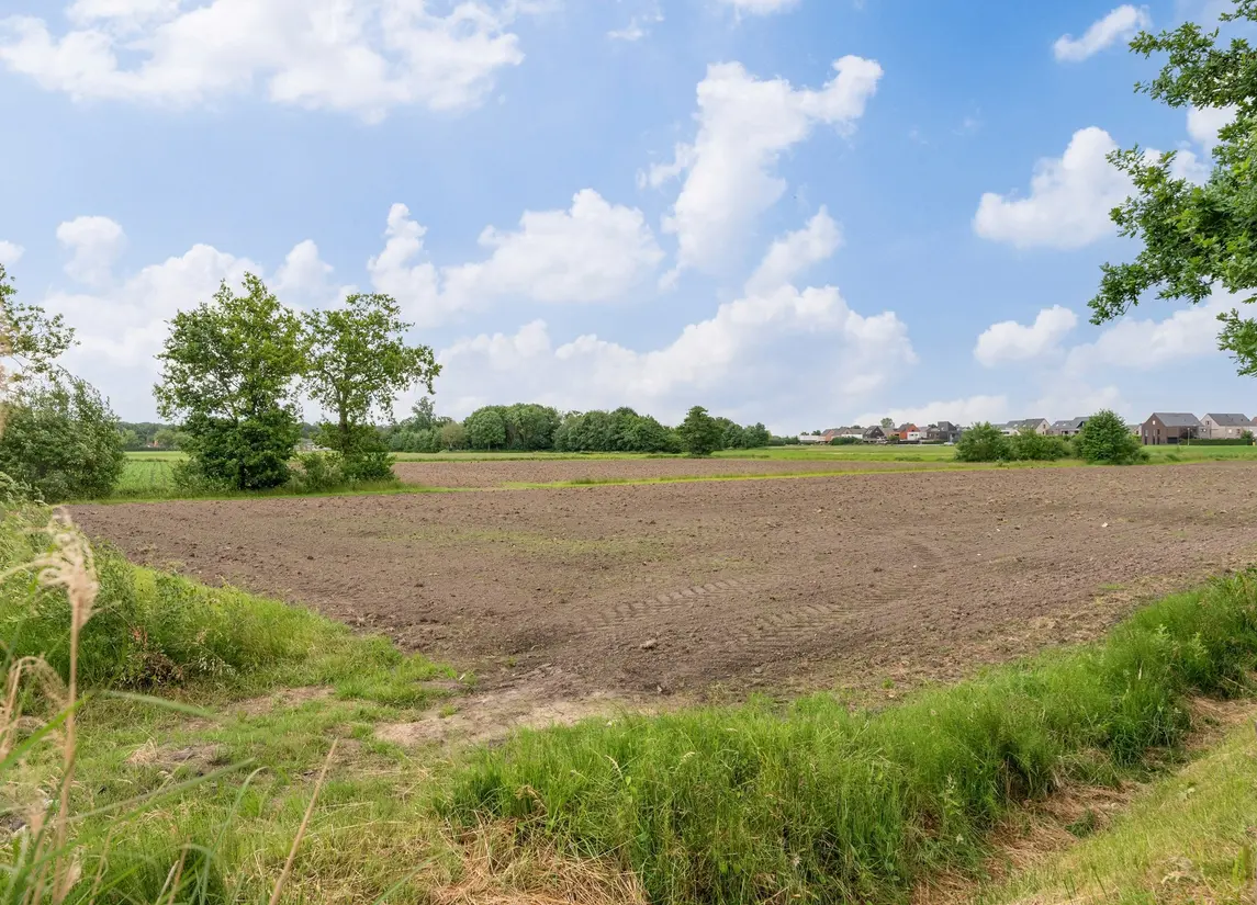 Steenweg op Ravels 183  