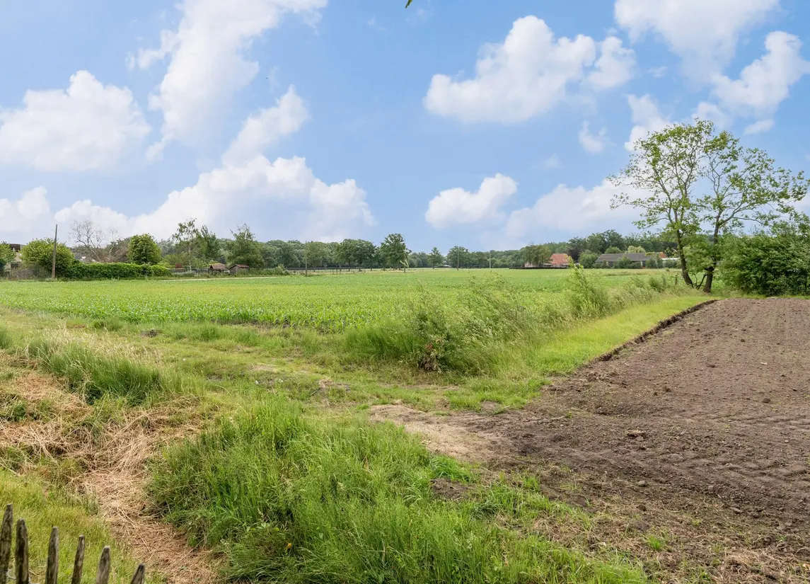 Steenweg op Ravels 183  