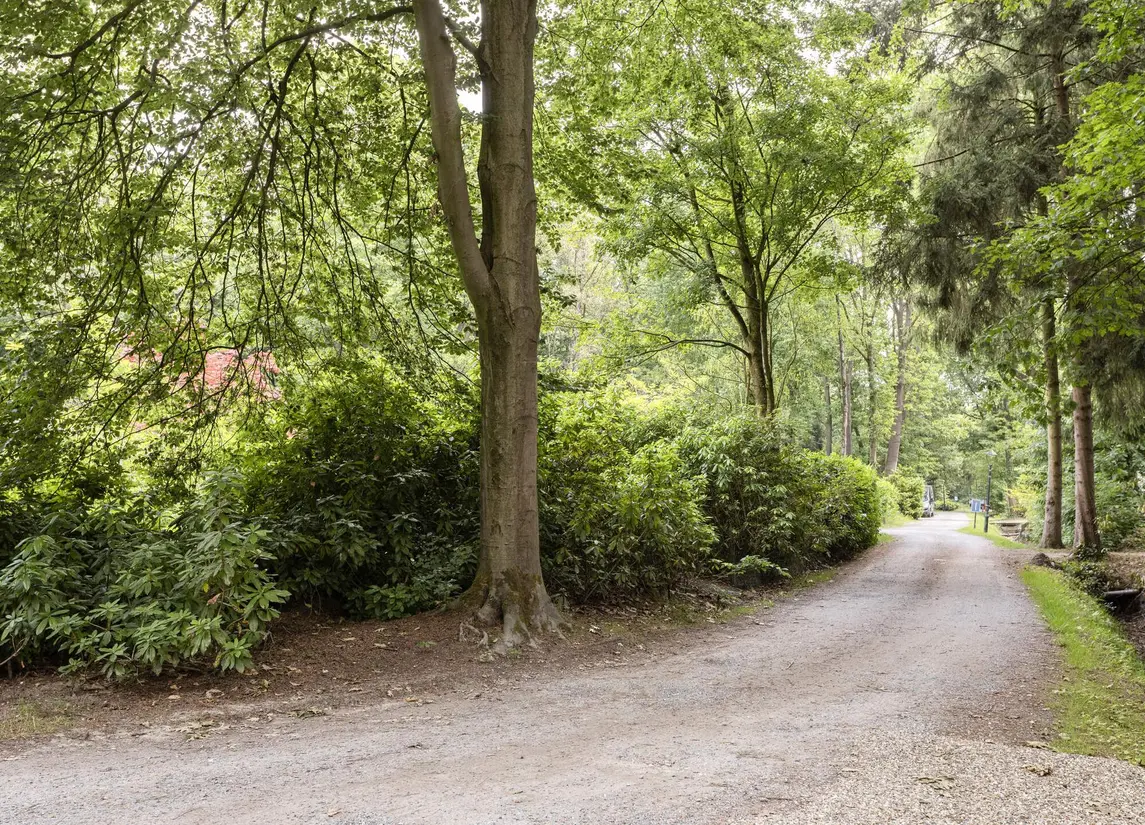 De Stille Wille 49