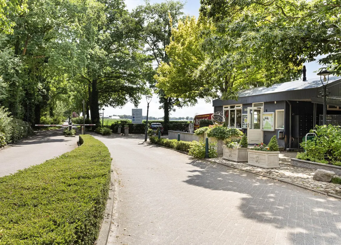 De Stille Wille 49