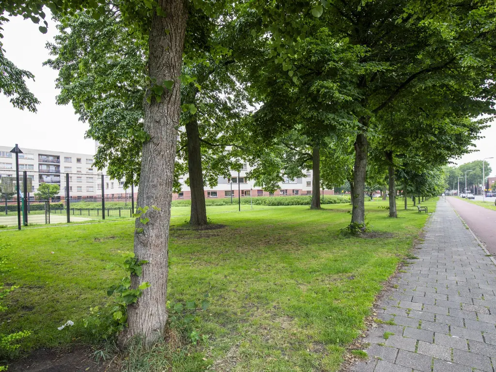 Royaards van den Hamkade 11 2, UTRECHT