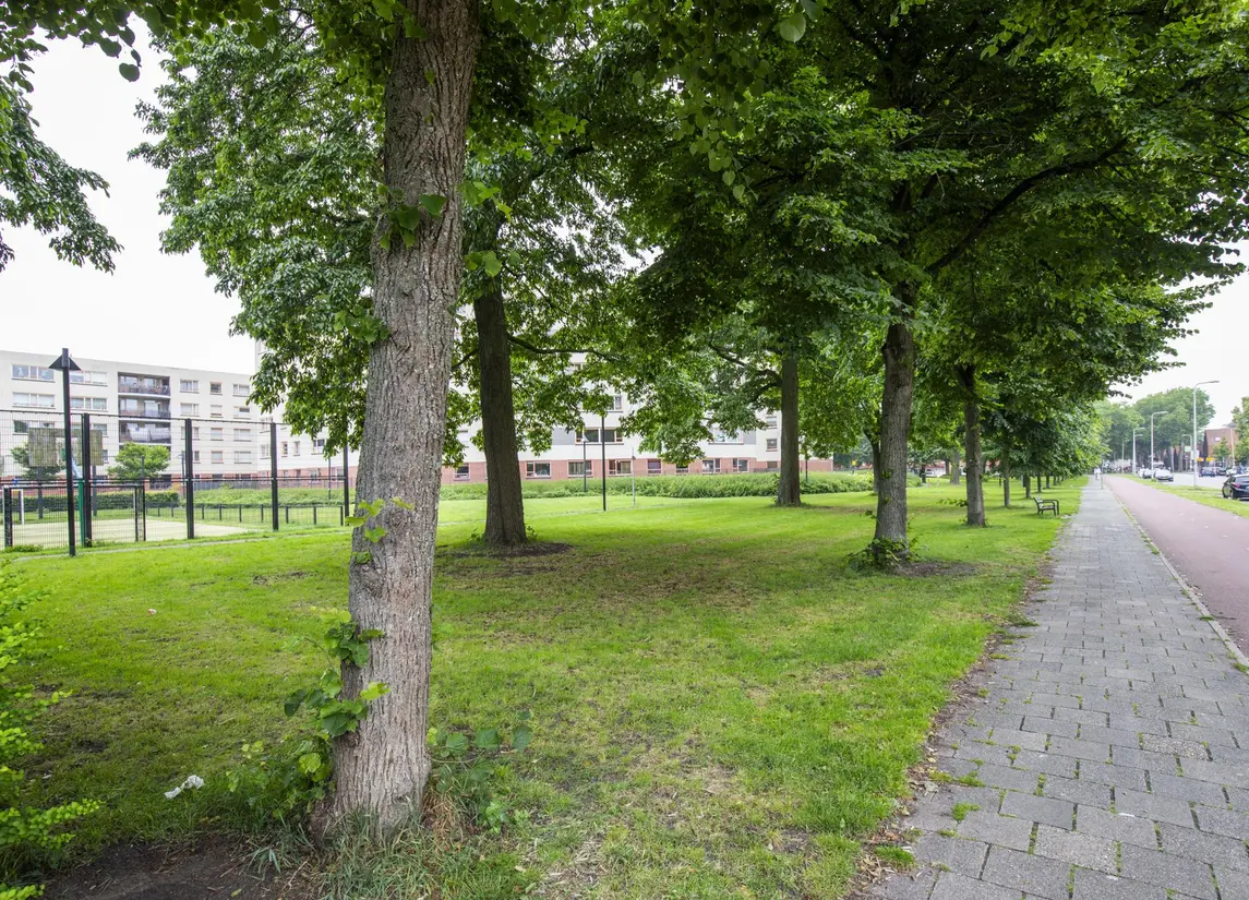 Royaards van den Hamkade 11 2