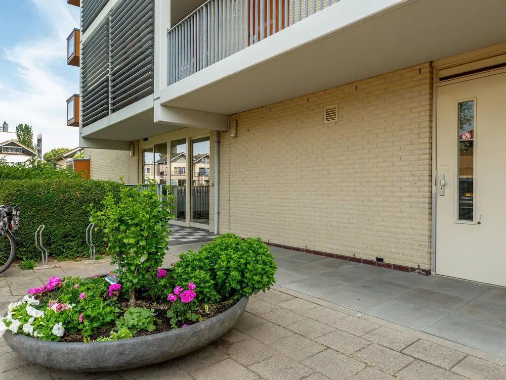 Bouwlust 31, RHOON