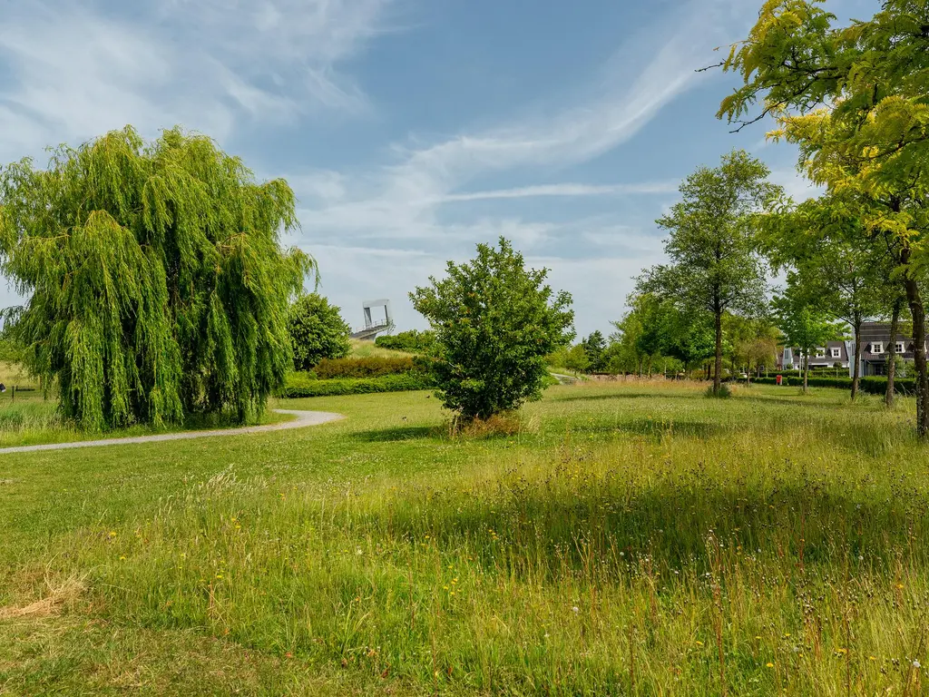 Bouwlust 31, RHOON