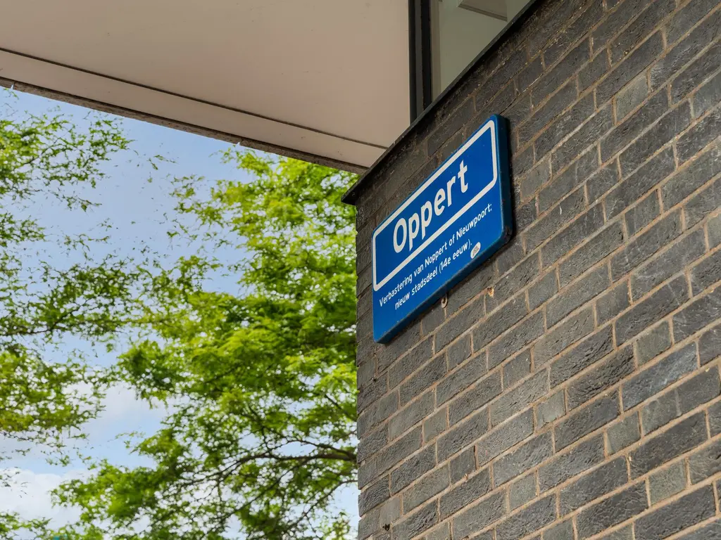 Oppert 252, ROTTERDAM
