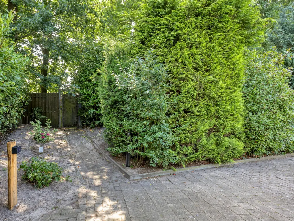Kievit 12 478, Baarle-Nassau