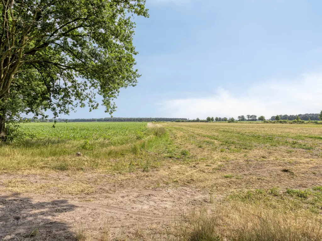 Kievit 12 478, Baarle-Nassau