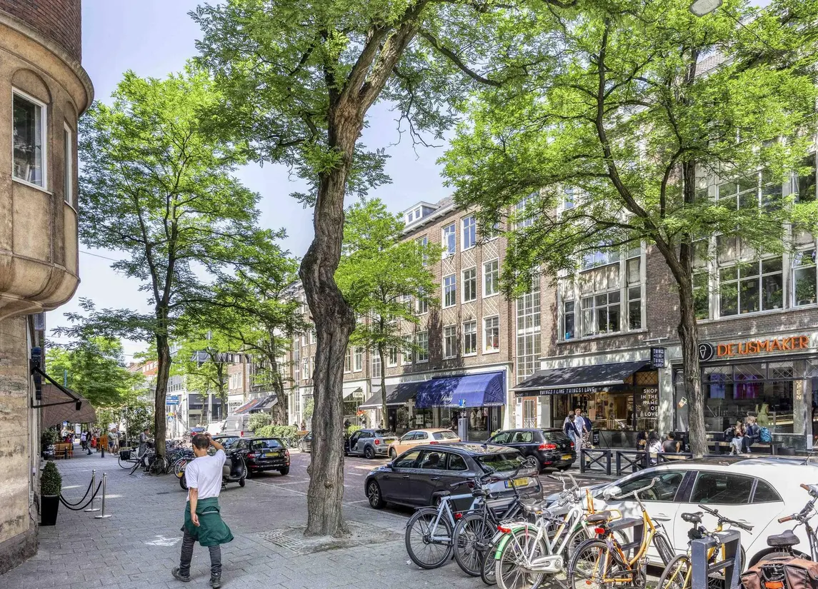 Witte de Withstraat 11D