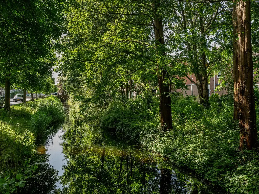 J. Bosmanstraat 30, 'S-GRAVENHAGE
