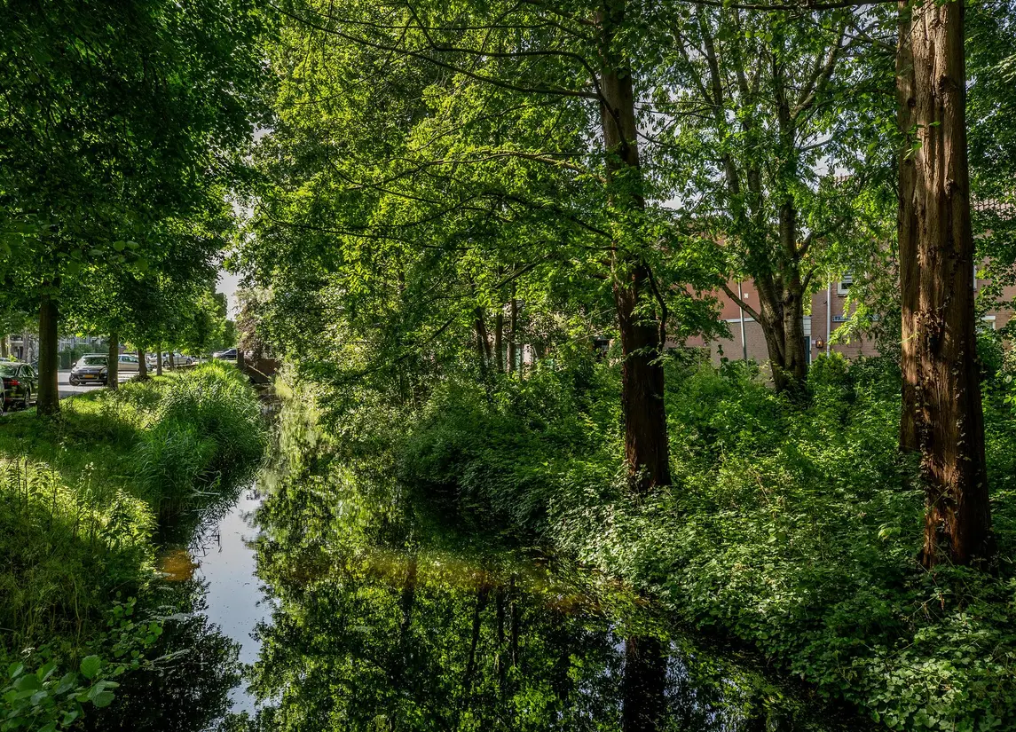 J. Bosmanstraat 30