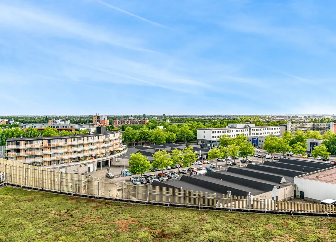 Zuidland 61
