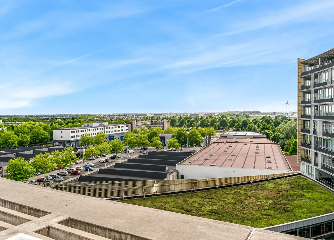 Zuidland 61