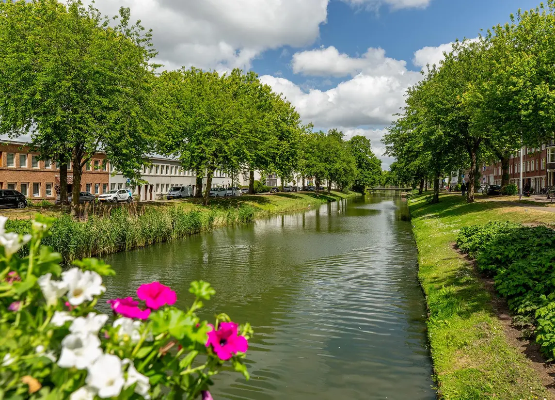 Boekweitstraat 33