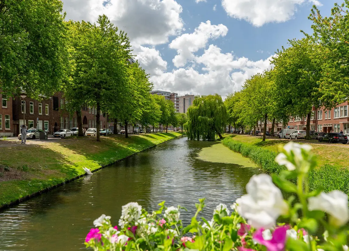 Boekweitstraat 33
