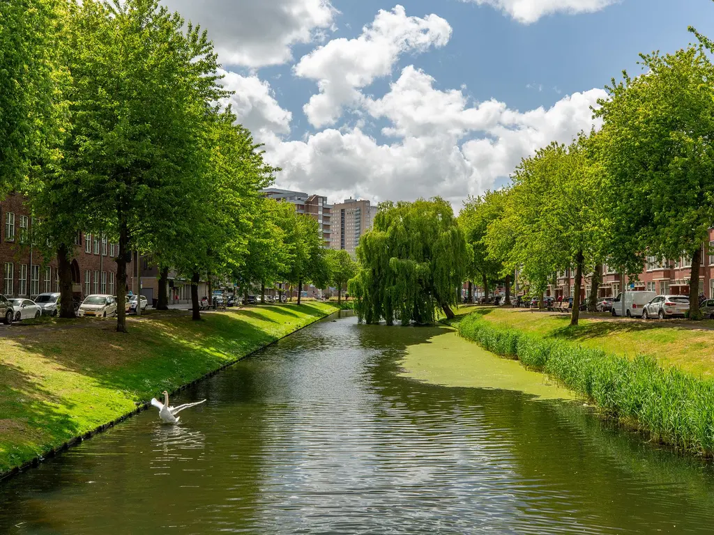 Boekweitstraat 33, ROTTERDAM